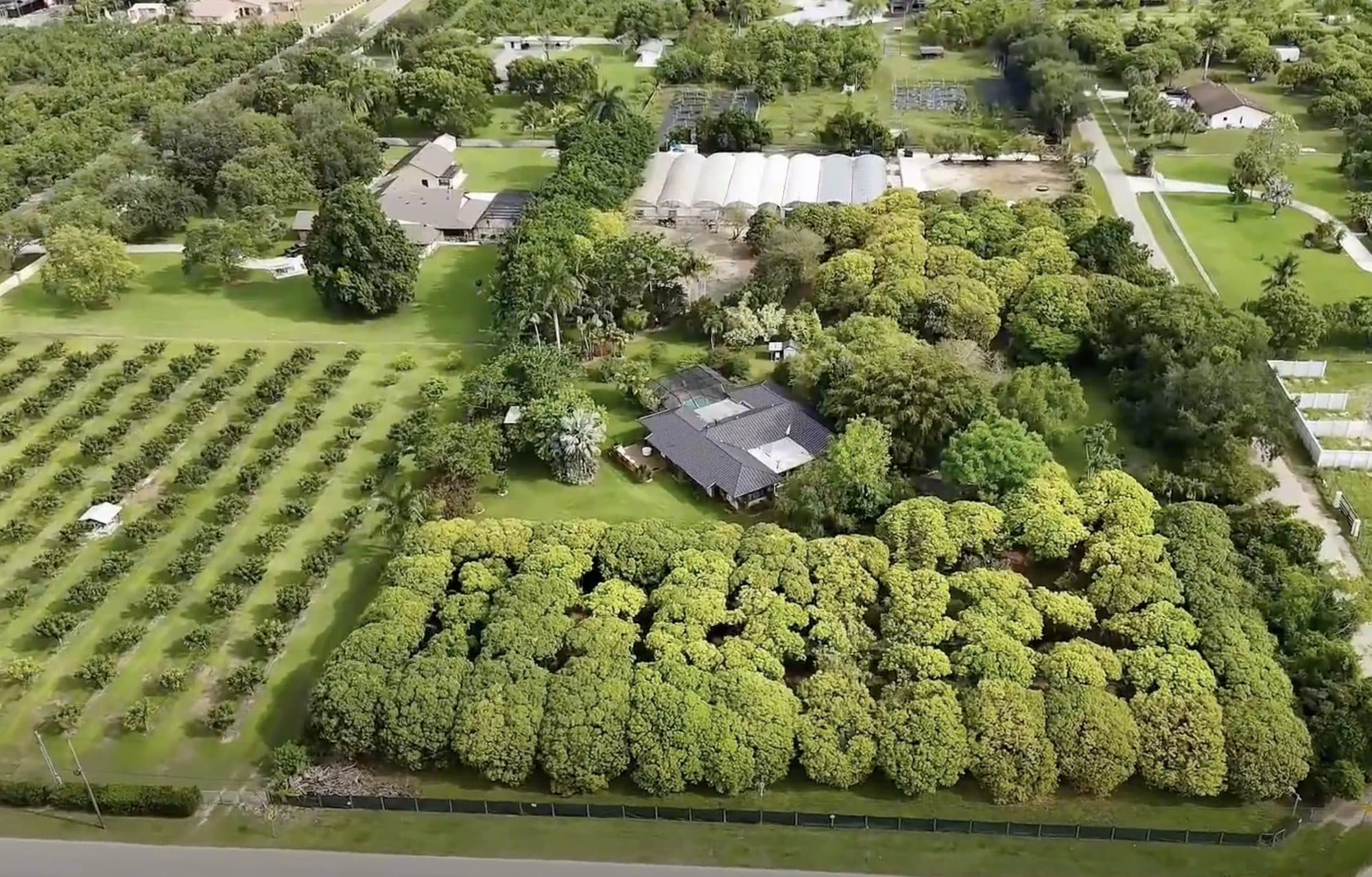 La finca desde el aire