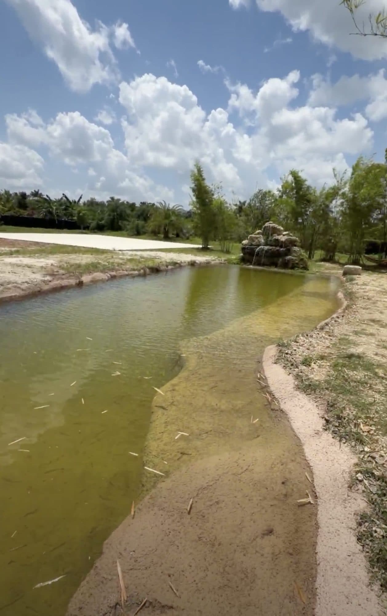 Nuestra laguna